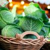 Cabbage Into Sauerkraut