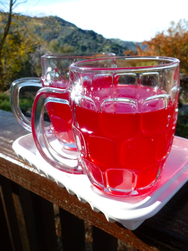hibiscus-tea2-600